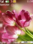 Download mobile theme Tulips