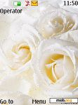 Download mobile theme White Roses