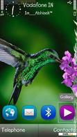 Download mobile theme Bird