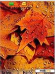 Download mobile theme Autumn