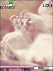 Download mobile theme Love Cats 16