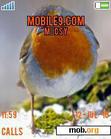 Download mobile theme Robin