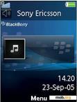 Скачать тему Blackberry Flash
