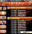 Download mobile theme OrangeBerry