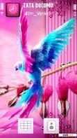 Download mobile theme colorful parrot by venky