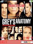 Скачать тему grey's anatomy