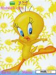 Скачать тему tweety