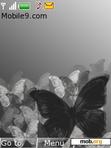 Download mobile theme Black_butterfly