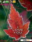 Download mobile theme LEAF LUV