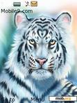 Download mobile theme tiger animated