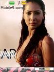 Download mobile theme Kim Sharma