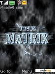 Download mobile theme Themematrix_ro