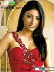 Download mobile theme Soha Ali Khan