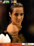 Download mobile theme Tulip Joshi