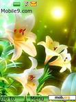 Download mobile theme white lilies