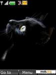 Download mobile theme Black Cat