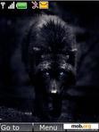 Download mobile theme Black Wolf
