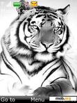 Download mobile theme White Tiger