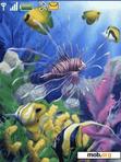 Download mobile theme Aquarium Animated