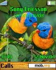Download mobile theme Colored Birds