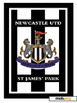 Скачать тему Newcastle United Theme