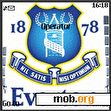Download mobile theme Everton FC
