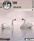Download mobile theme SWANS