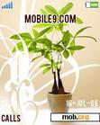 Download mobile theme Plant