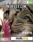 Download mobile theme cat elegance