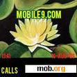 Download mobile theme Better Yellow Flower
