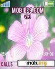 Download mobile theme Summer Flower