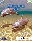 Download mobile theme Dolphin