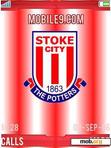 Скачать тему Stoke City