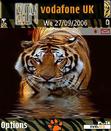 Download mobile theme Tiger_wild