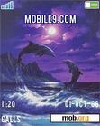 Download mobile theme Dolphins jumping