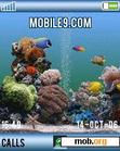 Download mobile theme Aquarium_Animated.thm