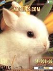 Download mobile theme Rabbit