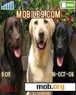 Download mobile theme Labrador