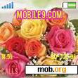 Download mobile theme Spring Roses
