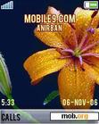 Download mobile theme Flower Dew