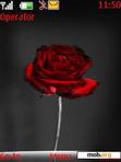 Download mobile theme Rose red