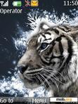 Download mobile theme White Tiger