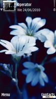 Download mobile theme Blue Flowers