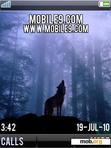 Download mobile theme BLUE WOLF