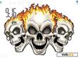 Download mobile theme Burning Skull -N4R5U9