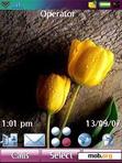 Download mobile theme Yellow Flower