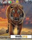 Download mobile theme Tiger