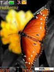 Download mobile theme butterfly