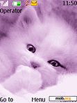 Download mobile theme PURPLE KITTY