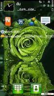 Download mobile theme green rose